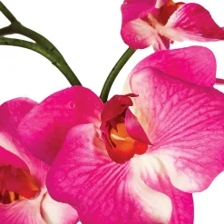 Composition d'orchidées artificielles - vase en céramique - H46 cm - Rose- Atmosphera