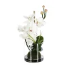 Composition d'orchidées artificielles - vase en verre - H37 cm - Blanc- Atmosphera