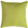 Coussin vert anis 50x50 déhoussable