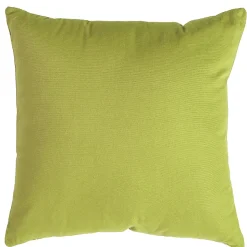 Coussin vert anis 50x50 déhoussable