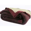 Couverture Pure Laine Vierge 600g/m2 bicolore (240x300 cm - Prune)