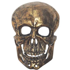 Décoration Murale Tête de Mort Aluminium 41 cm Crâne Murale Moderne FineBuy