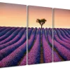 DECLINA, Tableau toile imprimée Paysage, Tableau triptyque Champs de Lavande, 90x60 cm