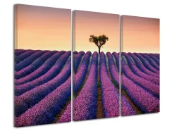 DECLINA, Tableau toile imprimée Paysage, Tableau triptyque Champs de Lavande, 90x60 cm