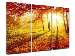 DECLINA, Tableau toile imprimée Paysage, Tableau triptyque Forêt en Automne , 120x80 cm