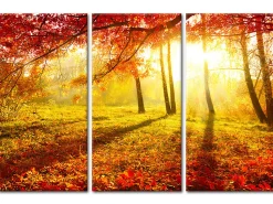 DECLINA, Tableau toile imprimée Paysage, Tableau triptyque Forêt en Automne , 120x80 cm
