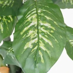 Dieffenbachia artificiel toucher naturel 130cm