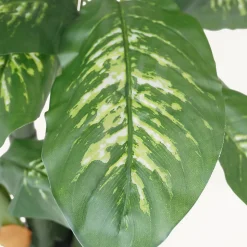 Dieffenbachia artificiel toucher naturel 130cm