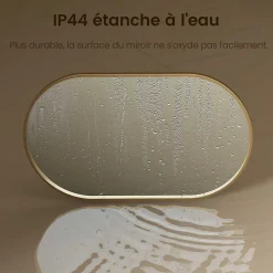 EMKE Miroir mural 60 x 100 cm Miroir ovale avec cadre doré, Miroir non lumineux salle de bain