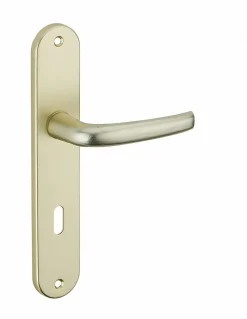 Ensemble de poignées pour porte intérieure Maia trou de clé, entr'axes 195mm, couleur F2 - SP