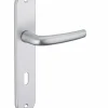 Ensemble de poignées pour porte intérieure Maia trou de clé, carré 7mm, entr'axes 195mm, argent - THIRARD