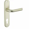 Ensemble de poignées pour porte d'entrée Leto trou de cylindre, carré 7mm, entr'axes 165mm, couleur F2 - THIRARD