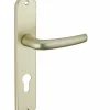 Ensemble de poignées pour porte d'entrée Maia à trou de cylindre, entr'axes 195mm, couleur F2 - SP