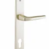Ensemble de poignées pour porte d'entrée Picardie trou de cylindre, carré 7mm, entr'axes 92mm, couleur champagne - THIRARD