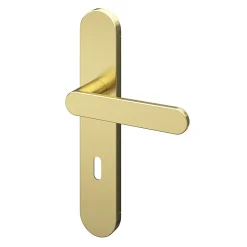 Ensemble poignée sur plaque rond serrure GoodHome Minzh effet laiton satin doré L.120mm x l.42mm entraxe 165-195mm