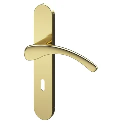 Ensemble poignée sur plaque rond serrure GoodHome Ruis effet laiton doré L.138.5mm x l.42mm entraxe 165-195mm