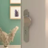 Ensemble poignée sur plaque rond GoodHome Govlin effet nickel satin gris l.x l.40mm entraxe 195mm
