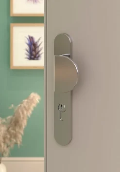 Ensemble poignée sur plaque rond GoodHome Govlin effet nickel satin gris l.x l.40mm entraxe 195mm