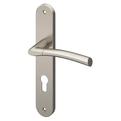 Ensemble poignée sur plaque extérieur rond cylindre GoodHome Hirel effet nickel satin gris chromé L.128mm x l.40mm entraxe 195mm