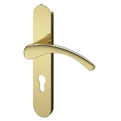 Ensemble poignée sur plaque rondcylindre GoodHome Ruis effet laiton doré L.138.5mm x l.42mm entraxe 165-195mm