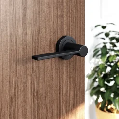 Ensemble poignée sur rosace Droit à visser GoodHome Dotz mat noir Ø52mm