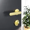Ensemble poignée sur rosace rond à visser GoodHome Minzh effet laiton satin or Ø50mm