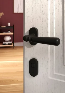 Ensemble poignée sur rosace à visser GoodHome Kilhog noir Ø63mm