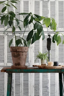 ESTAhome papier peint persiennes altérées en bois rétro vintage gris chaud clair et blanc mat - 53 cm x 10.05 m - 138882