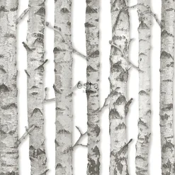 ESTAhome papier peint troncs de bouleau gris chaud clair - 53 cm x 10.05 m - 138889