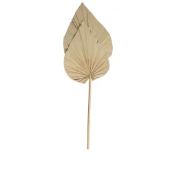 Feuilles décoratives de palmier sechées XL H.70cm, 2 pièces JBY creation