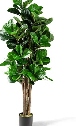 Figuier Artificiel de Feuille de Violon Realiste avec Pot en PP Souple Arbre Artificiel en PEVA Tronc de Bois Melange Vert