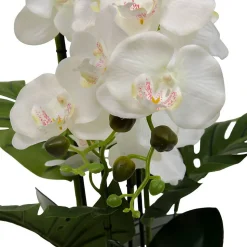 Fleur Artificielle Asia Orchidée H81 cm Pot en Grès Vert - Atmosphera