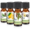 Höfer Chemie Set Parfumé 2 - Avec 4 Parfums : Vanille, Citron, Sapin, Pin