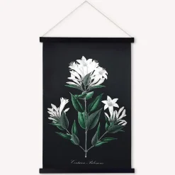 Kakemono Coutarea Pubescens 50 x 70 cm