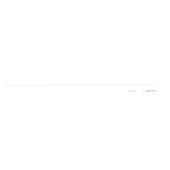 Lance rideaux Nisis 100cm blanc ⌀5mm x 100 cm