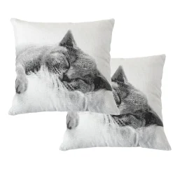 Lot de 2 Coussins déhoussables Chat, carré 40x40cm, Collection Vickie, CMADECO