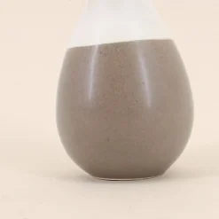 Lot de 2 vases en céramique avec fleurs séchées