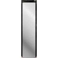 Miroir de porte rectangulaire noir 30 x 120cm Dada Art