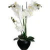 Orchidée artificielle - vase noir en céramique - H53 cm - Atmosphera