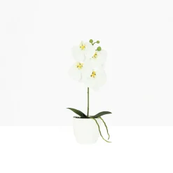 Orchidée artificielle blanche 35cm