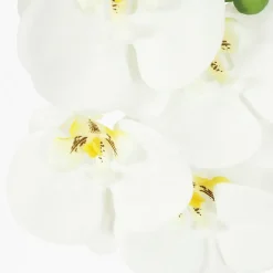 Orchidée artificielle blanche 35cm