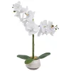 Orchidée artificielle Clera H52cm blanc - Atmosphera