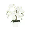 Orchidée artificielle toucher naturel 60cm