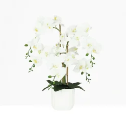 Orchidée artificielle toucher naturel 60cm