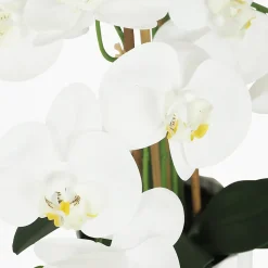 Orchidée artificielle toucher naturel 60cm