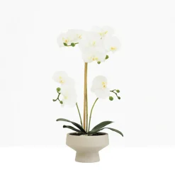 Orchidée artificielle toucher naturel 45cm