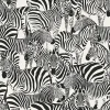 Origin Wallcoverings papier peint zèbres noir et blanc - 53 cm x 10.05 m - 347453
