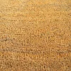 Paillasson - Tapis brosse Coco - Ecru - Ep, 17 mm - Rouleau de 2m x 1m