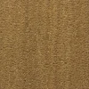 Paillasson - Tapis brosse Coco - Ecru - Ep, 23 mm - Rouleau de 2m x 1m