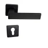 Paire de Poignées de Porte sur Rosaces Aluminium Carrées noires "NATALYA" - +1 Paire de rosaces cylindre